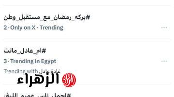 جمهور الأهلي يدعم فريقه بهاشتاج يتصدر موقع X لدعم حلم الثنائية