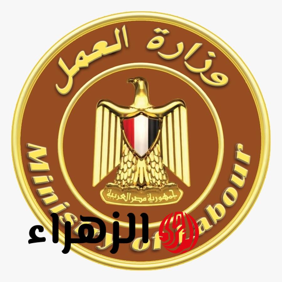 برواتب مجزية.. وزارة العمل تعلن عن وظائف شاغرة للشباب في المناطق الصناعية الكبرى