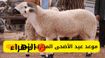 البحـوث الفلكيـة توضح.. موعد عيد الأضحى المبارك 2026/1447 ووقفة عرفات في جميع الدول العربية
