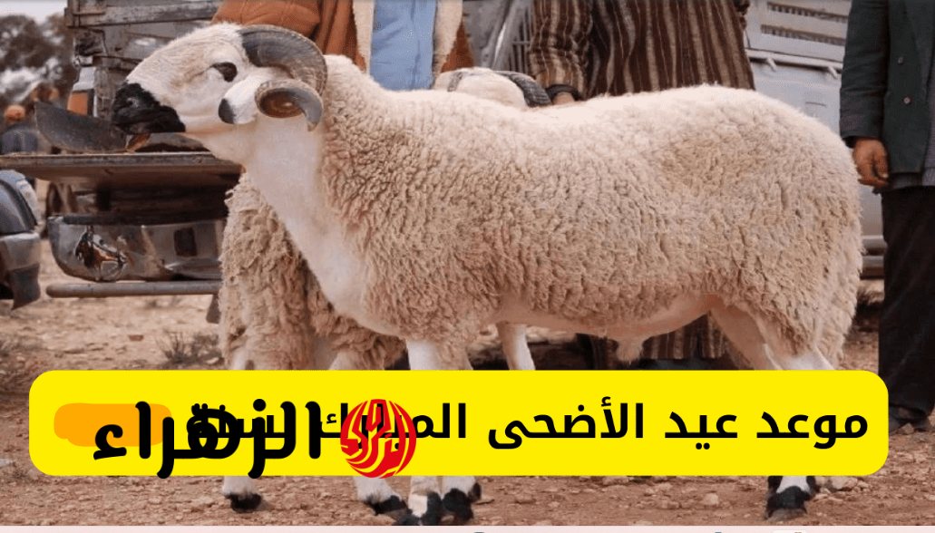 “مفاجأة في الموعـد” البحوث الفلكية توضح موعد وقفة عرفات 2026 وعيد الأضحى المبارك المتوقع وفضل صيـام هذا اليوم