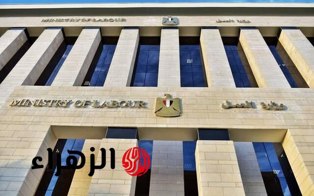 وزارة العمل تطرح 1721 وظيفة بالقطاع الخاص في 8 محافظات برواتب مجزية