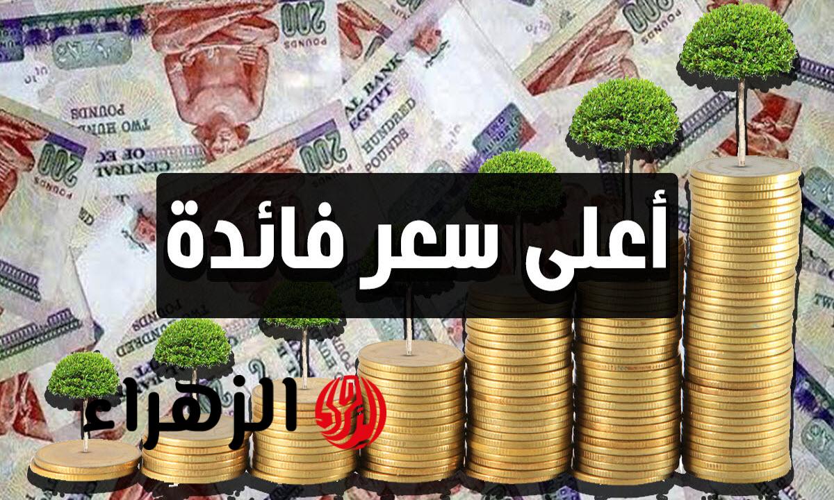 شهادات الادخار في البنوك المصرية 2026 وأعلى عائد متاح حاليا