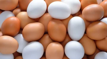 البيض البنى أم الأبيض.. أيهما أفضل لصحتك؟