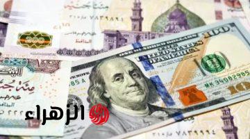 البنك المركزي يعلن استقرار سعر الدولار مقابل الجنيه اليوم