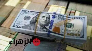 الدولار يواصل الاستقرار أمام الجنيه المصري في البنوك اليوم