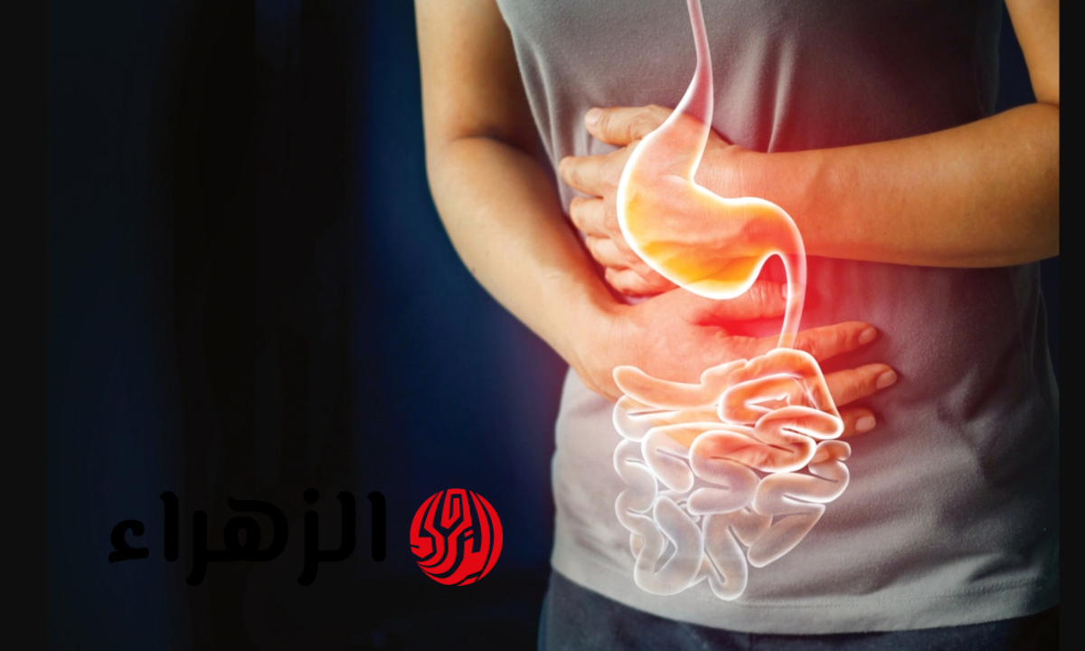 هل تسبب اللحوم الحمراء تهيج القولون؟ نصائح الخبراء لتجنب آلام الهضم