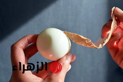 مش هيغلبك تاني وهيتقشر لوحده.. أسهل طريقة لتقشير البيض بسهولة وفي ثواني