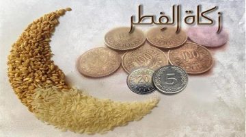 لا يجوز إخراجها بعد هذا الموعد.. الإفتاء تحدد قيمة زكاة الفطر 2026 في مصر