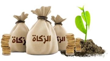 ما هي أسهل طريقة لحساب الزكاة بدقة؟.. مفتي الجمهورية السابق يجيب