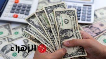 وصل كام.. سعر الدولار مقابل الجنيه المصري اليوم الثلاثاء 24 مارس 2026 في البنوك المصرية