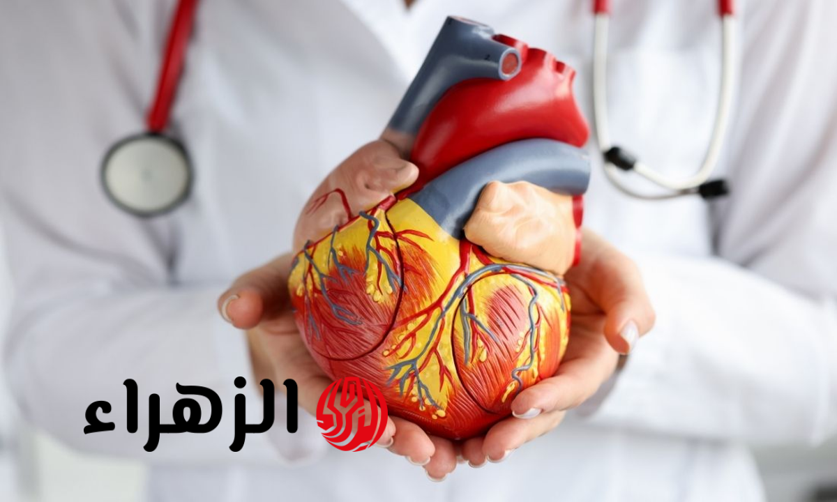 جمال شعبان يكشف عن 5 علامات تنذر بخطر الإصابة بأمراض القلب