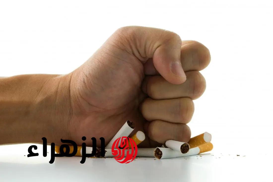 ماذا يحدث لجسمك عند الإقلاع عن التدخين؟ اكتشف التحولات الصحية المذهلة وعودة الرئة للعمل بشكل طبيعي ومنع الجلطات.. نتائج غير متوقعة في 20 دقيقة فقط؟