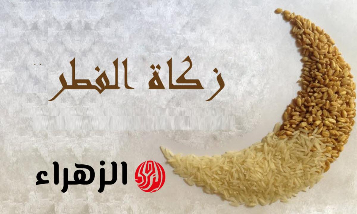 عينية أم نقدية .. الافتاء توضح قيمة زكاة الفطر في رمضان 2026 وموعد إخراجها