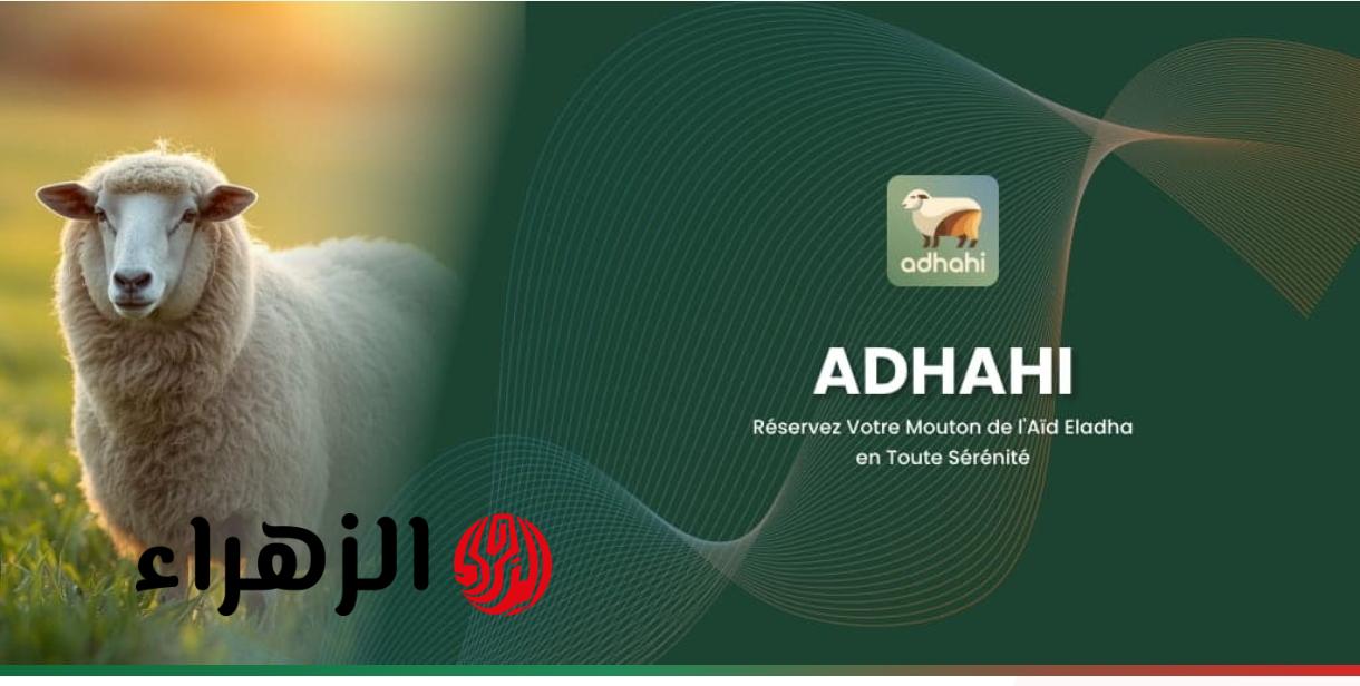 كبــش العيد وانت في الدار.. adahi dz منصة اضحية العيد 2026 الجــزائر من وزارة الفلاحة بشـرح مفصل