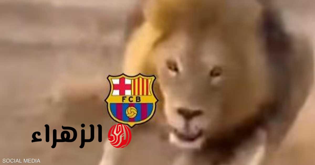 أتلتيكو يسخر من برشلونة بفيديو “الأسد والكلب” بعد إقصائه من الأبطال