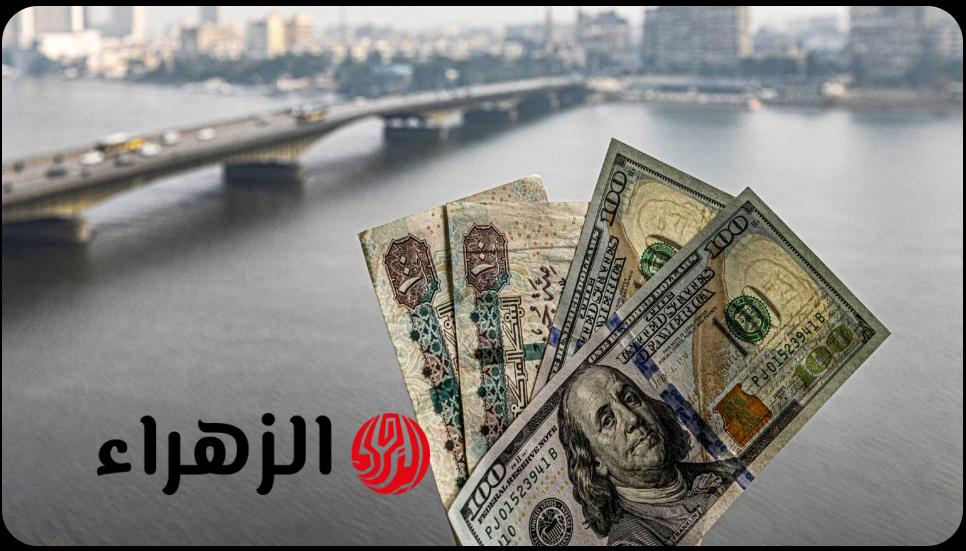 بكام دلوقتي؟.. سعر الدولار مقابل الجنيه المصري اليوم يفاجئ الجميع