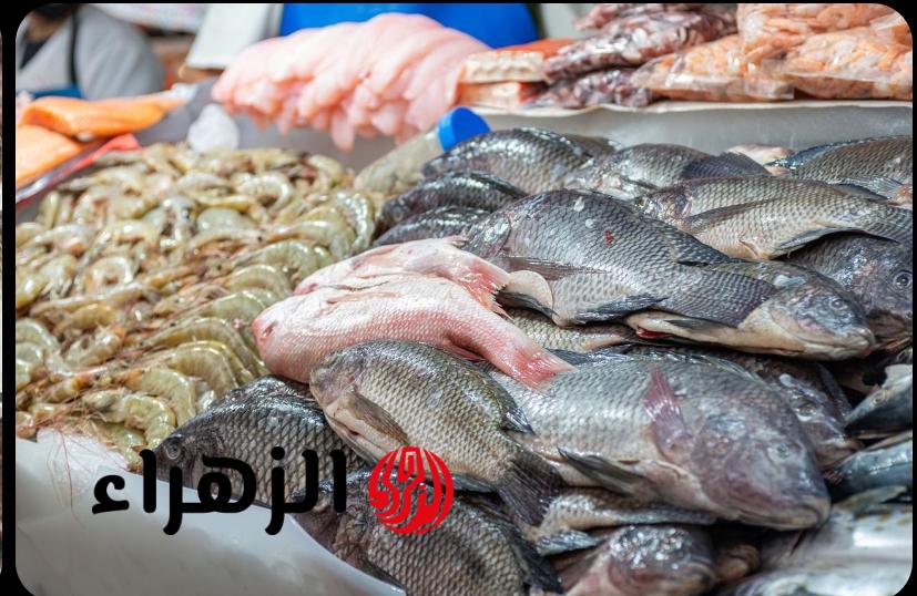 شوف وصل لكام.. أسعار البلطي والفيليه والجمبري اليوم في الأسواق المصرية