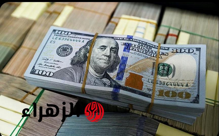 “الدولار هيولع ولا هيهدى؟!” سعر الدولار اليوم مقابل الجنيه المصري يفاجئ الجميع داخل البنوك!