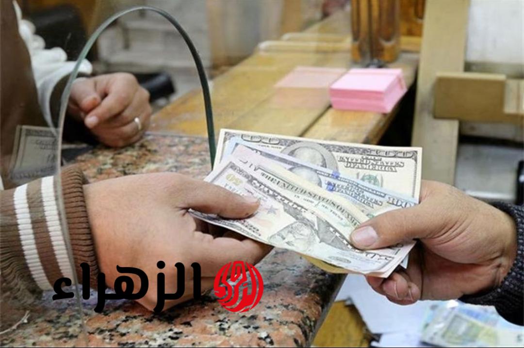 الدولار بكام النهارده؟ .. سعر الدولار اليوم مقابل الجنيه المصري الأحد 26 أبريل 2026 (تحديث مباشر)