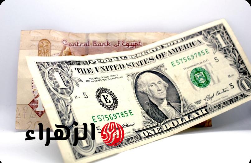 الأخضر بكام النهارده؟.. سعر الدولار مقابل الجنيه المصري اليوم الإثنين 27 أبريل 2026 في بداية التعاملات