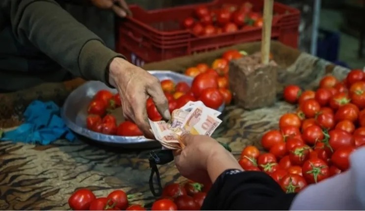 الزراعة تزف بشرى سارة: تراجع أسعار الطماطم لـ 10 جنيهات في هذا الموعد