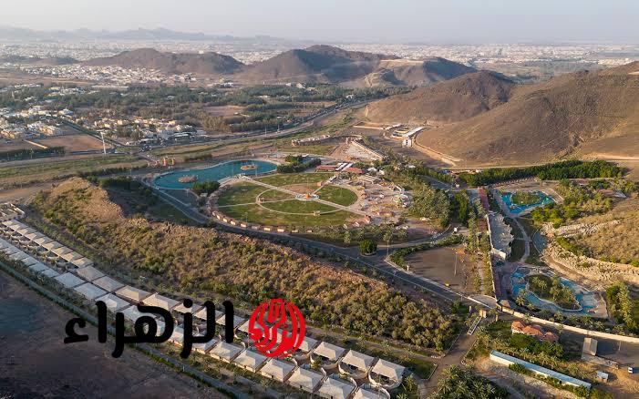 رسمياً.. حائل أول مدينة صحية في السعودية بتصنيف منظمة الصحة العالمية
