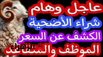 وزارة الفلاحة تعلن منصة أضحية العيد 2026 في الجزائر لحجز اضاحي العيــد بتسهيــلات كبيرة علي المواطن