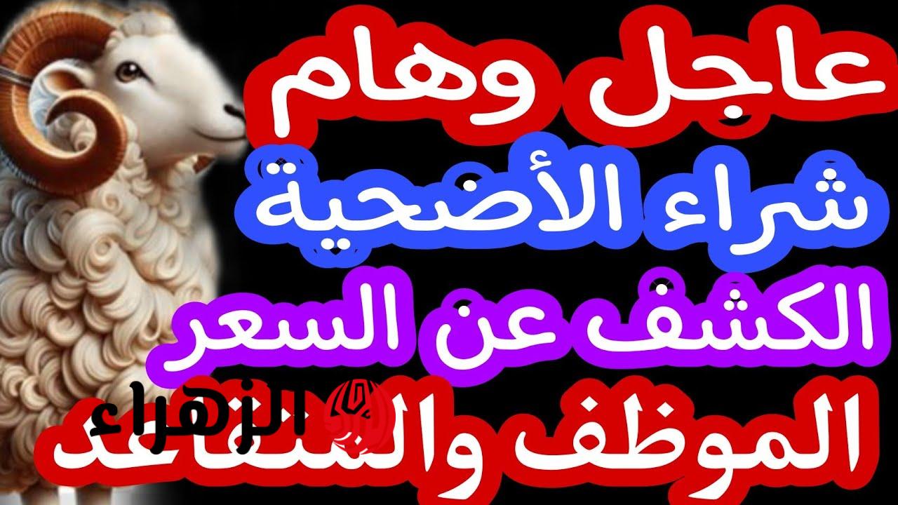وزارة الفلاحة تعلن منصة أضحية العيد 2026 في الجزائر لحجز اضاحي العيــد بتسهيــلات كبيرة علي المواطن