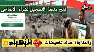 تشغيــل رابط منصة اضحية العيد 2026 Adahi dz في الجــزائر لشــراء الاضاحي بهذه الاسعــار من وزارة الفلاحة
