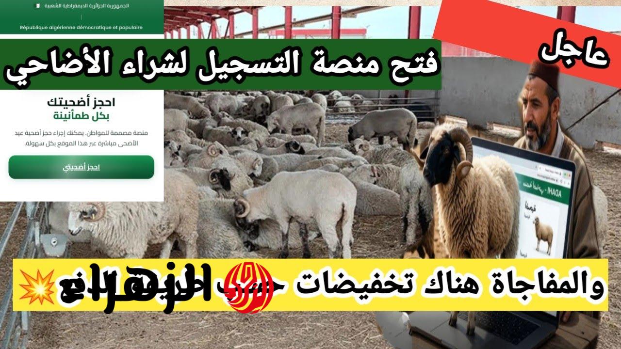 “اشتـري أضحيـة العيد” رابـط تسجيل اضاحي adhahi.dz برقم التعريف المنصة الرقمية لاقتناء أضحية العيد
