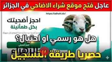 التسجيل في أضحية العيد 2026 بالجزائرAdahi .dz 2026 .. خطوات الحجز عبر منصة أضاحي الجزائر الرسمية