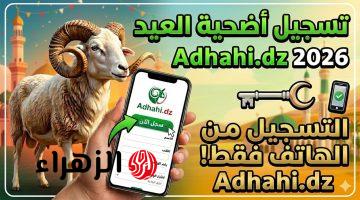 الكبش بــاقل اسعار adhahi.dz.. كيفية التسجيل في اضاحي العيد 2026 لحجز الأضاحي المستوردة