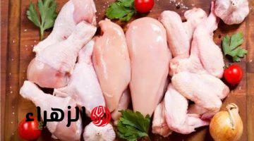 أسعار الدواجن والبانيه تفاجئ الجميع.. كم وصل سعر الكيلو؟