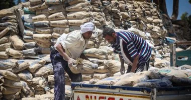سعر الأسمنت اليوم الاثنين 6 4 2026 يشهد حالة استقرار ملحوظة في الأسواق المصرية