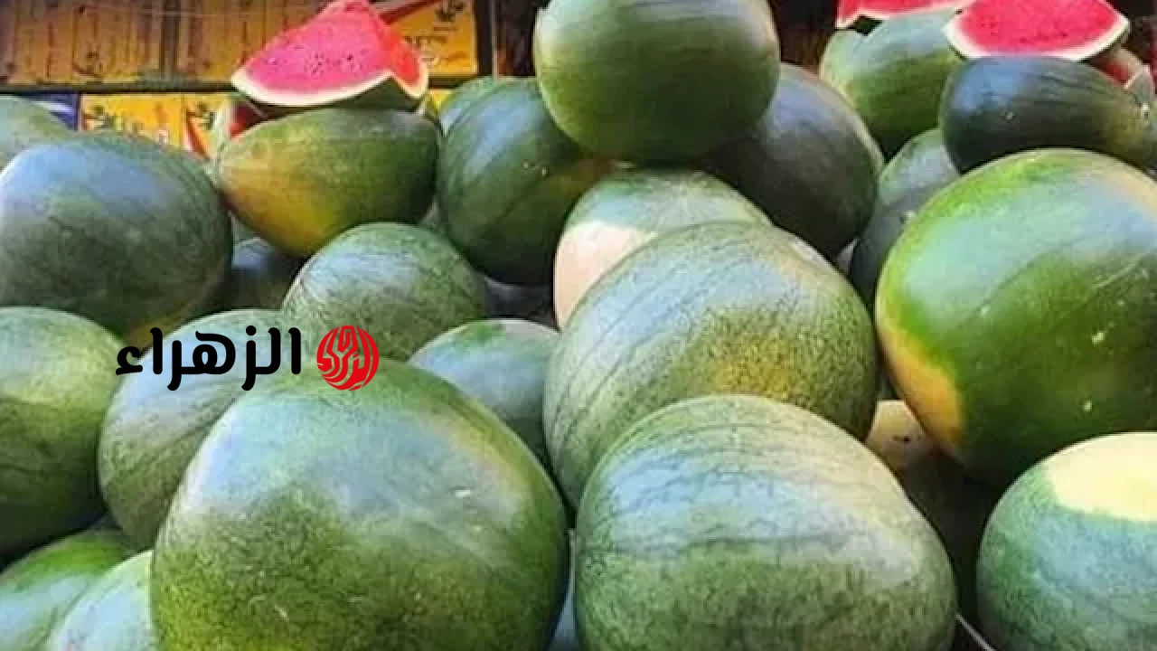 خطأ شائع يفعله الجميع عند شراء البطيخ قد يسبب مشكلة صحية
