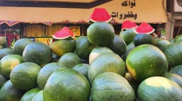 إزاي تشتري المرملة| 4 علامات للبطيخ.. صوتها زي الطبلة