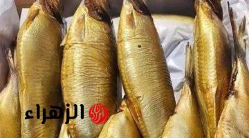 التموين تطرح الرنجة بسعر مخفض داخل المجمعات الاستهلاكية وعبر البطاقات ونقاط الخبز قبل شم النسيم