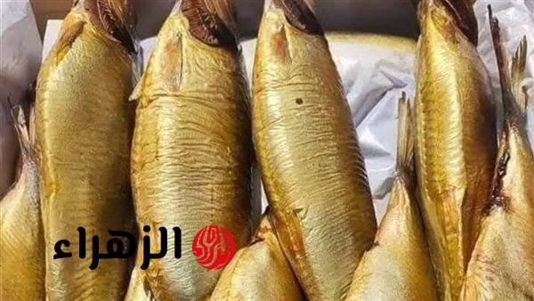 التموين تطرح الرنجة بسعر مخفض داخل المجمعات الاستهلاكية وعبر البطاقات ونقاط الخبز قبل شم النسيم