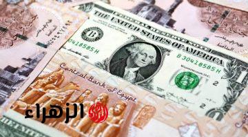 سعر الدولار اليوم مقابل الجنيه الإثنين 13-4-2026.. تحديث أسعار البنك الأهلي وبنك مصر و CIB