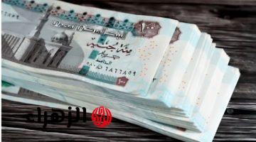 الحكومة المصرية تعلن موعد صرف معاشات مايو 2026