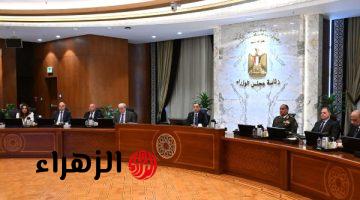 الحكومة تعلن إقامة مشروع لتصنيع الأثاث باستخدام التكنولوجيا الصناعية الحديثة بنظام المناطق الحرة