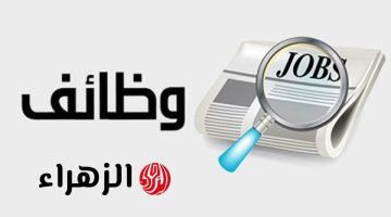 الحكومة تعلن وظائف خالية في مجالات متعددة براتب يصل إلى 15 ألف جنيه شهريا