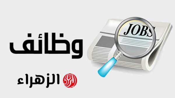 الحكومة تعلن وظائف خالية في مجالات متعددة براتب يصل إلى 15 ألف جنيه شهريا