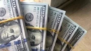 سعر الدولار اليوم مقابل الجنيه المصري شهد استقرار اليوم الأحد 5 أبريل 2026 في البنوك