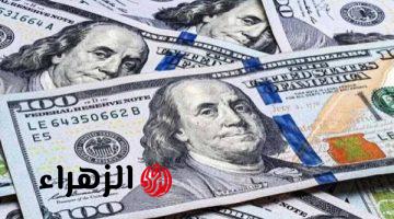 سعر الدولار اليوم مقابل الجنيه المصري.. أسعار الصرف الآن الأربعاء 22 أبريل 2026 في جميع البنوك