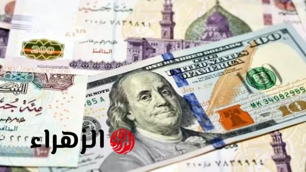 الدولار يواصل الاستقرار أمام الجنيه في البنوك المصرية اليوم