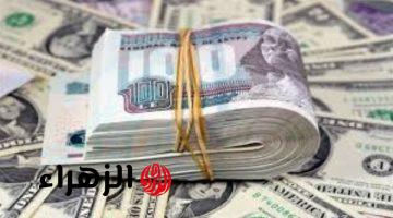 الدولار يواصل الصعود ويسجل 53.11 جنيهًا في البنوك المصرية اليوم