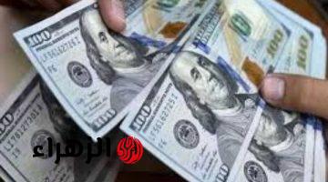 الدولار يواصل الصعود ويسجل 54.43 جنيه اليوم في الأسواق المصرية