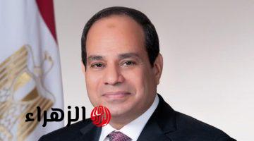 الرئيس السيسي: سأستمر في بذل كل جهد صادق ومخلص لإنهاء الصراعات وإرساء السلام العادل بمنطقتنا والعالم بأسره