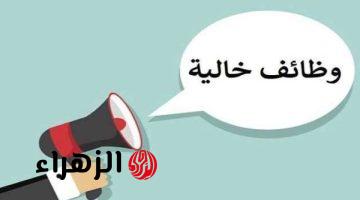 الشركة المصرية لنقل الكهرباء تعلن فتح باب التقديم لوظائف شاغرة